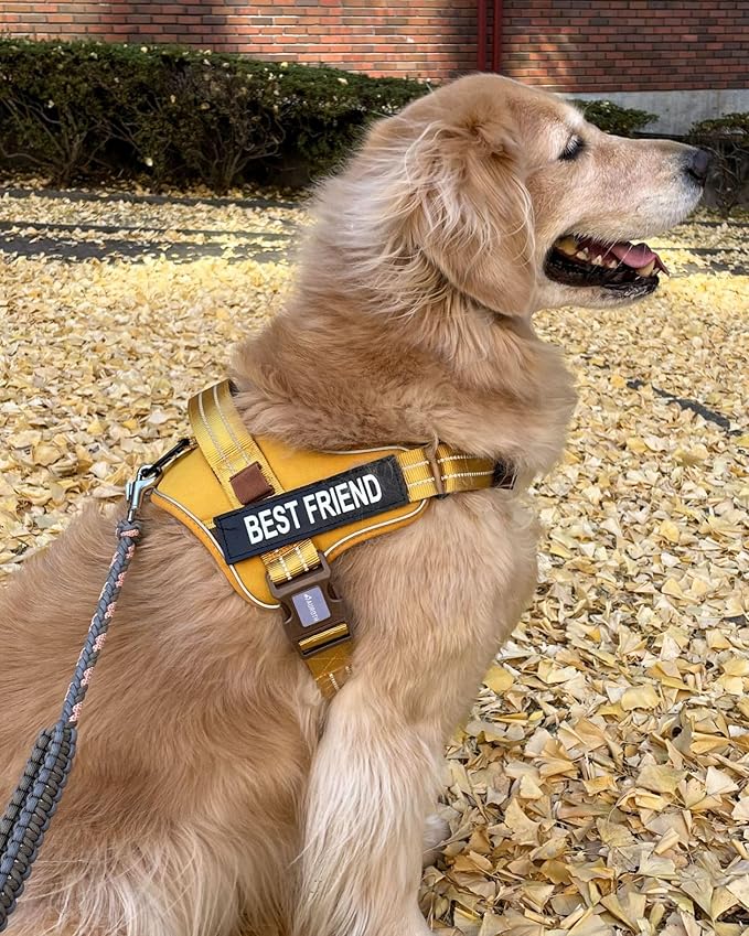 AUROTH Dog Harness and Leash Set, Soft Padded Dog Vest with 5.25FT Dog Leash, No Choke, Easy On Pet Vest, Adjustable Reflective No Pull Dog Harness for Large Dogs, Easy Walking and Training