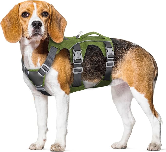 Escape Proof Dog Harness with Handle - Reflective No Pull Dog Vest, Lightweight Full Body Pet Harness Adjustable for Small Dogs Walking,Training(Green,Chest:14-22")