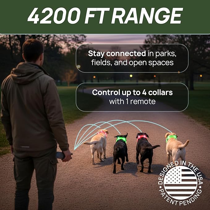 2-in-1 Dog Shock Collar with Remote & 360° LED Safety Lights – 4200FT Range Dog Training Collar, IPX8 Waterproof, 4 Training Modes, Rechargeable E-Collar for Small Medium & Large Dogs (10-120lbs)