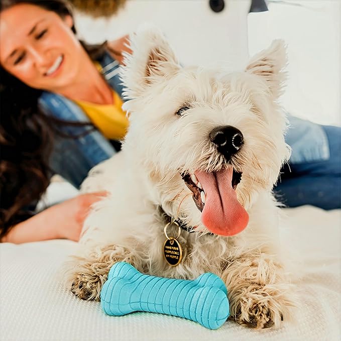 Playology Dog Toys | Dual Layer Bone Durable Chew Toy Bone for Dogs | Medium Peanut Butter Scented Toy - Easy to Clean and Made from Non Toxic Materials