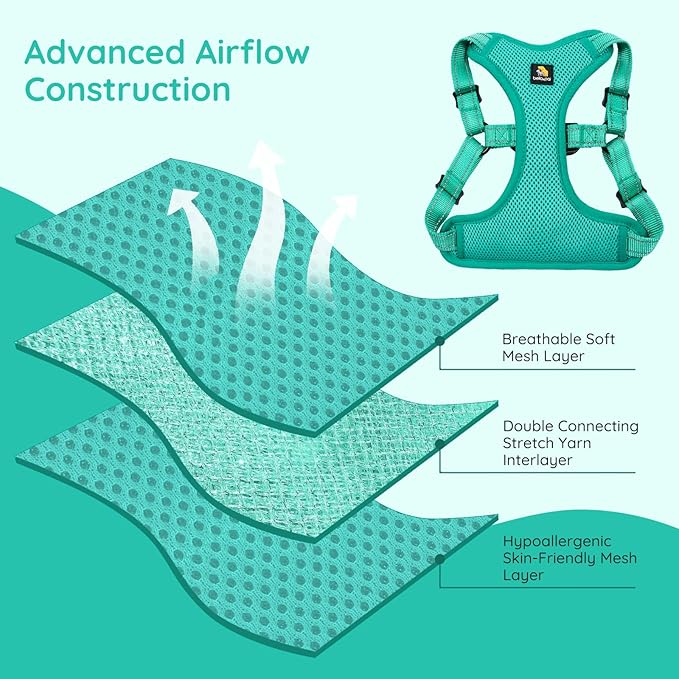 BELLA & PAL Adjustable Step-in Dog Harness, Puppy No-Pull Vest with Leash Set for XS/Small & Medium Dog, Breathable All-Weather Mesh, Reflective Strip, Secure Hook & Loop, Buckle Closure