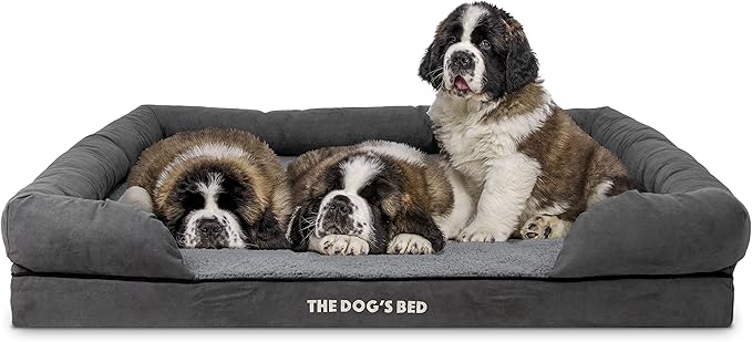 The Dog’s Bed Medium Support Memory Foam Dog Bed XXL Plush Grey, Pain Relief: Arthritis, Hip & Elbow Dysplasia, Supportive, Calming, Waterproof Washable Cover, Veterinary Approved