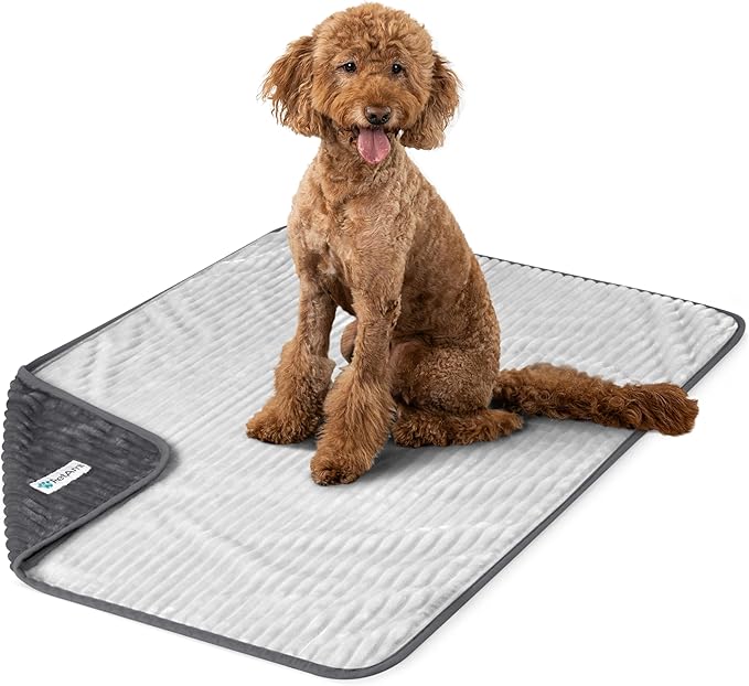 PetAmi Waterproof Dog Blanket, Leakproof Pet Blanket for Small Medium Large Dog, Reversible Furniture Bed Sofa Couch Cover Protector, Soft Striped Pet Throw for Indoor Cat, 40x60 in, Grey Light Gray