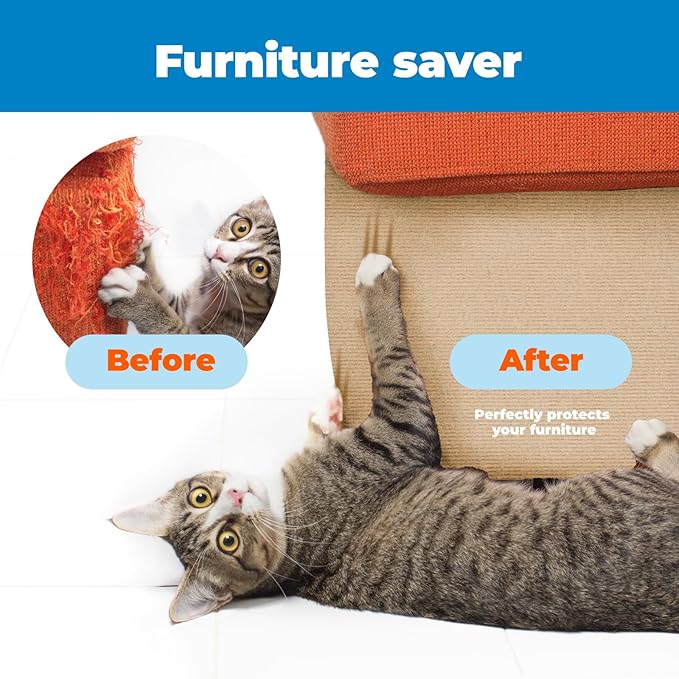 Best Pet Supplies Catify Cat Scratcher, Fun Interactive Scratchers, Posts, Poles, Claw Safe, Furniture Saver Indoor Play Support Natural Cat Behaviors Heavy Duty - Beige (78.7 x 15.8)