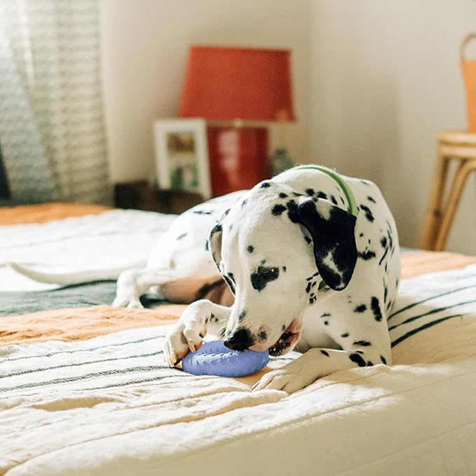 Playology Dog Toys | Dual Layer Ring Durable Chew Toy for Aggressive Chewers | Jumbo Blueberry Scented Toy - Easy to Clean and Made from Non Toxic Materials