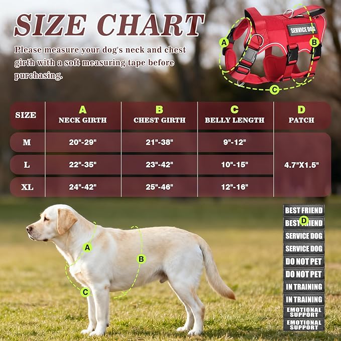 Service Dog Vest with Pockets,Large Dog Harness and Removable Backpack for Training Hiking,Pet Vest with Handle&Molle System for Patches,Red XL