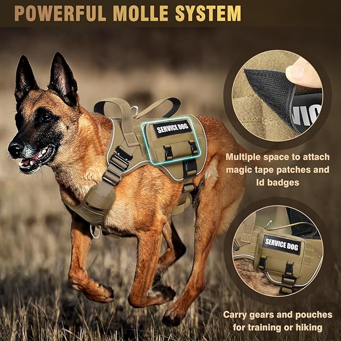 WINSEE Tactical Dog Harness for Large Dog, Heavy Duty Service Dog MOLLE Vest with 10 Pet Patches, No Pull Military Working Vest for Training Hunting Walking