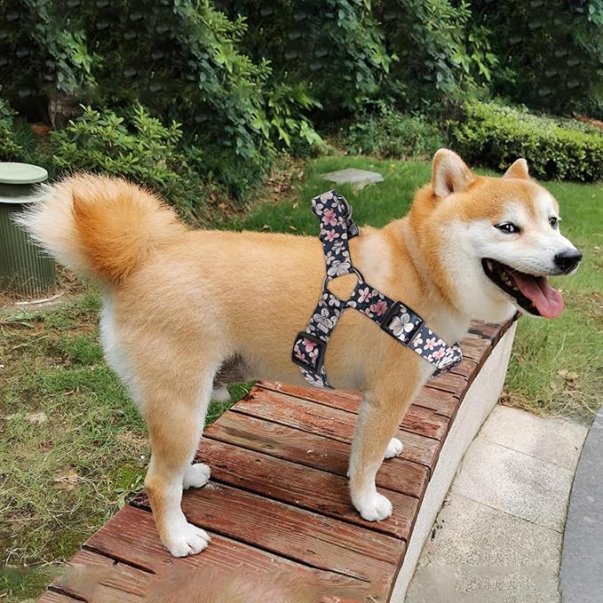 QQPETS Dog Harness Leash Set Adjustable Heavy Duty No Pull Halter Harnesses for Small Medium Large Breed Dogs Back Clip Anti-Twist Perfect for Walking