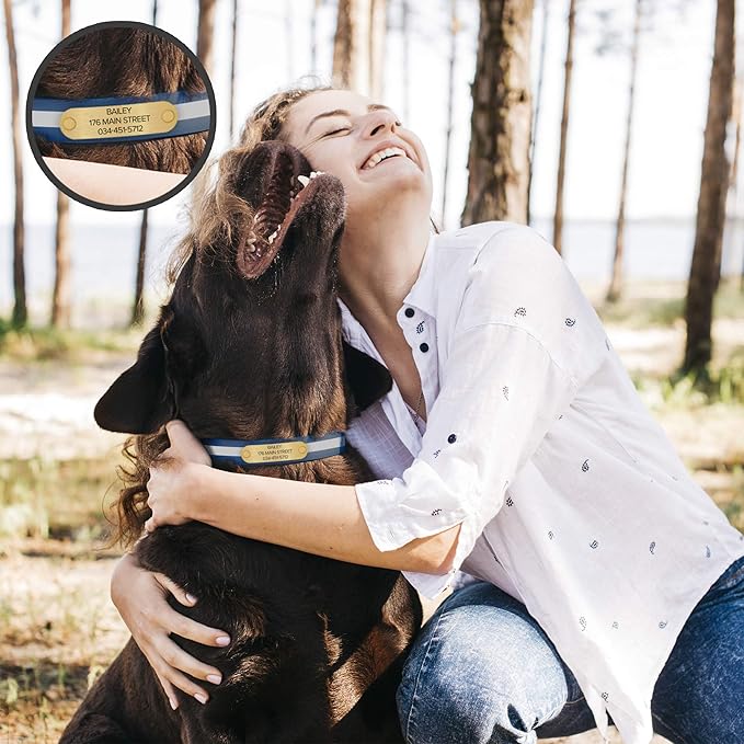 Regal Dog Products Small Blue with Custom Engraved Reflective Dog Collar and Leash Set | Waterproof Dog Collar with D Ring | Center Ring & 5'ft Leash | Matching Dog Collar and Leash for Dogs