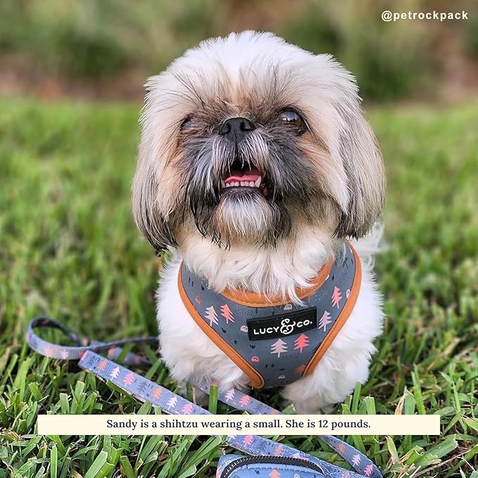 Lucy & Co. Cute Reversible Dog Harness Walking Halter - Best Designer Pet Harnesses for XS - XL Dogs - Padded Adjustable Vest for Easy Walking (X-Small, Neutral Brown Plaid with Blue Trees)