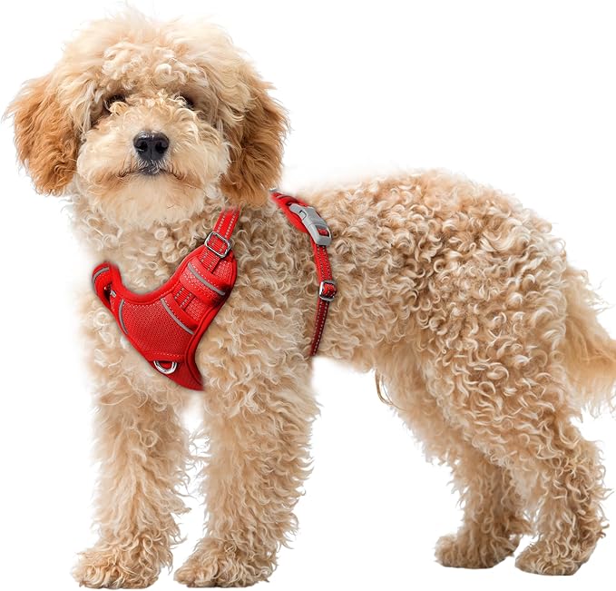BARKBAY No Pull Dog Harness Large Reflective Dog Harness with Front Clip and Easy Control Handle for Walking Training Running with ID tag Pocket(Red,XS)