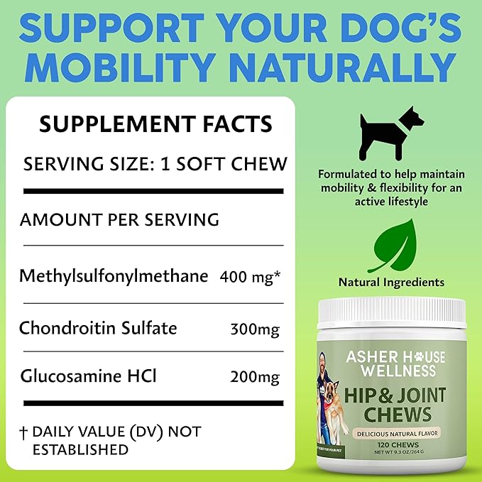 Asher House Wellness Hip and Joint Supplement for Dogs - Natural Soft Chew with MSM, Chondroitin, Glucosamine, Vitamins - Promotes Joint Health & Pain Relief Senior & All Dog Breeds, Large, 120 Chews
