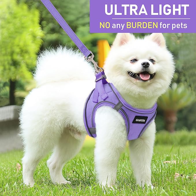 GAMUDA Small Pet Harness Collar and Leash Set, Step in No Chock No Pull Linen Fabric Soft Mesh Dog Vest Harnesses Reflective for Dogs Puppy Cats Kitten Rabbit (Purple, L)