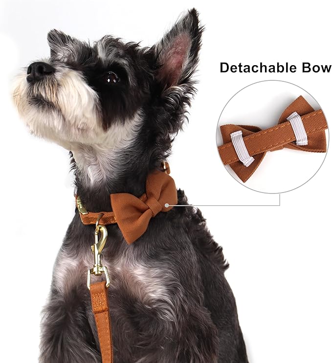 Beirui Cute Extra Small Dog Harness Set with Three Detachable Bows, Adjustable Step in Dog Harness Collar and Leash Set with Secure Metal Buckle for Daily Walking, Parties & Holiday Outfits(Brown,XS)