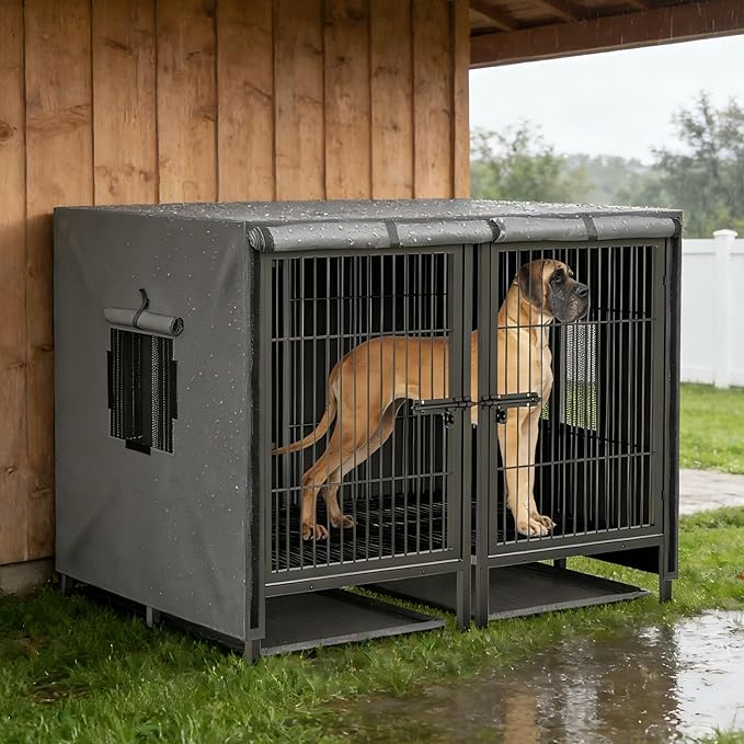 BingoPaw Heavy Duty Dog Crate: 52Inch Extra Large Dog Kennel Indoor with Divider - Metal Crates for Dogs Indoor with Two Door and Tray for Small Medium Large Dogs
