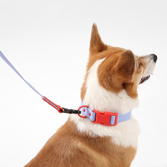 WLK1005E-5SET Luna Medium 8FT Adjustable 6-in-1 Waterproof Hands-Free Leash and Collar with LED Flashlight, Bag Dispenser, and Poop Bag Holder, Sangria