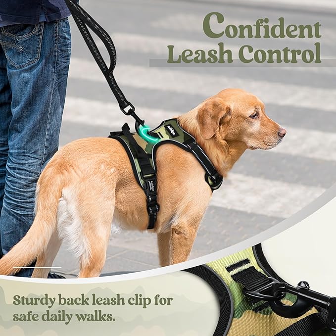 rabbitgoo Dog Harness No Pull with 2 Leash Clips, Adjustable Soft Padded, Reflective Oxford No Choke Pet Vest with Easy Control Handle for Large Dogs, Green Mountain,S