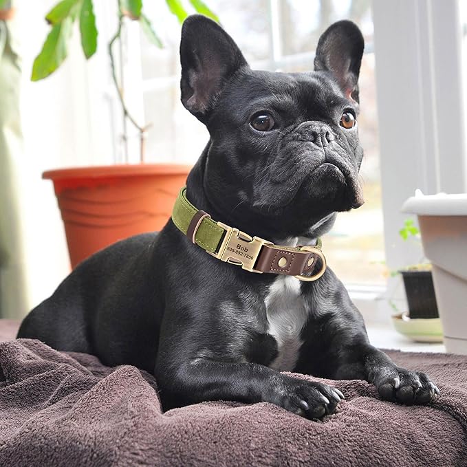 Personalized Dog Collars, Custom Soft PU Leather Dog Collar with Pet Name and Phone Number for Medium Dogs, Adjustable and Durable Pet Collars with Quick Release Metal Buckle,M(13-19")