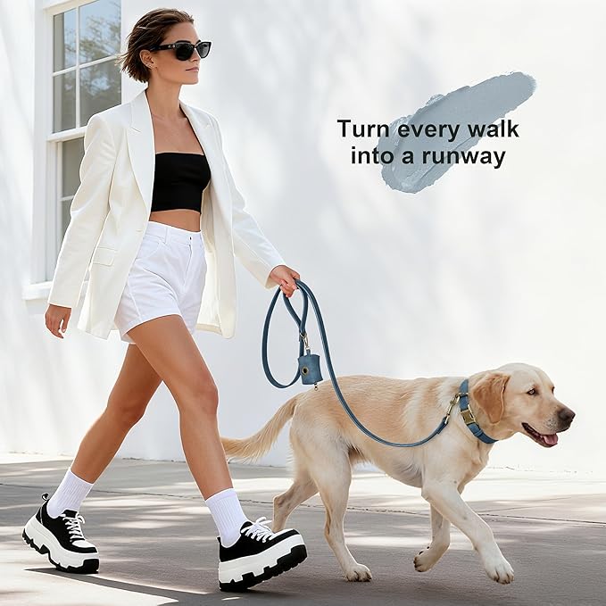 Didog Soft PU Leather Dog Collar, Stylish Quick Released Dog Collars for Large Dogs, Easy Clean Adjustable Pet Collar for Daily Walking, Blue, XL Fit 17-27" Neck