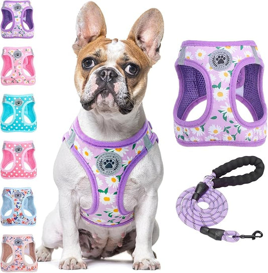 BEAUTYZOO Step in Dog Harness and Leash Set,Floral Pattern Reflective Dog Harness No Pull No Choke Puppy Harness for Small Medium Large Dogs Cats,Soft Padded Mesh Vest Harnesses for Girl and Boy Pets