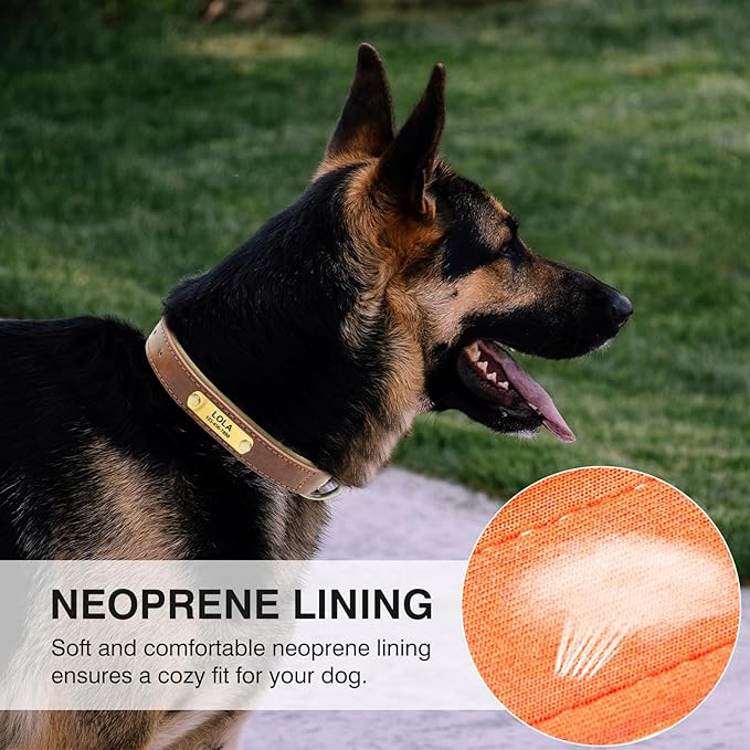 Personalized PU Leather Dog Collar with Custom Bronze Nameplate, Multi-Color, Soft Neoprene, Vintage Bronze Accessories, Optional Leash (Red, M (11-15 Inches))