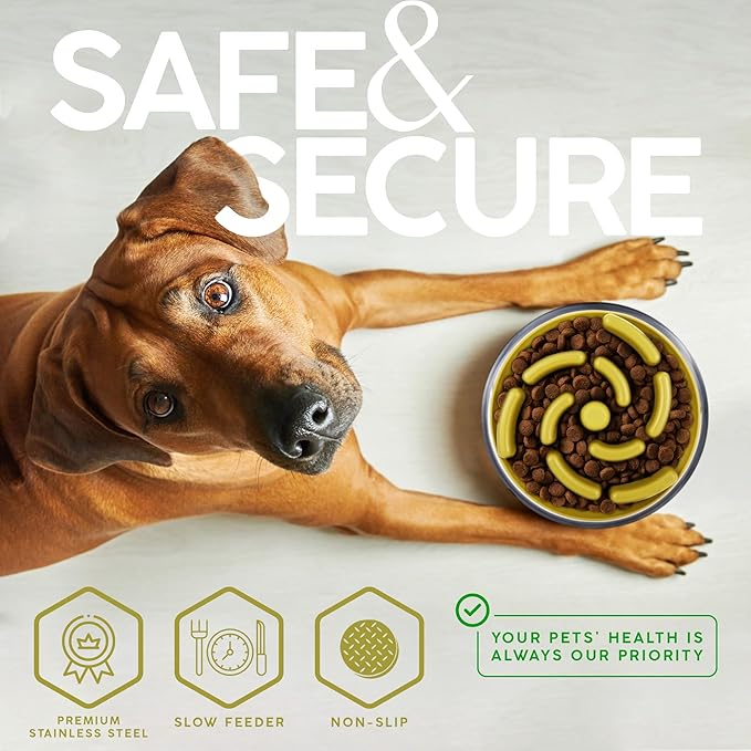 64 OZ Dog Bowl with Slow Feeder Insert Stainless Steel Pet Water Bowl for Medium & Large Breed Non Slip Rubber Base & Plastic Puzzle Feeder - Yellow