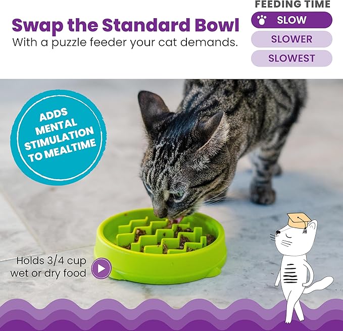Catstages Kitty Slow Feeder Bowl for Cats & Small Dogs, Puzzle Dish for Fast Eaters, for Wet or Dry Food, Helps Slow Eating & Aid Digestion, Non-Slip, Made Without BPA, 3/4 Cup, 5-Inch, Green