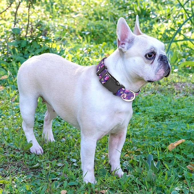 Reflective Dog Collar Padded with Soft Neoprene Breathable Adjustable Nylon Dog Collars for Small Medium Large Dogs (X-Small (Pack of 1), Purple/Pink Floral Collar+Leash)