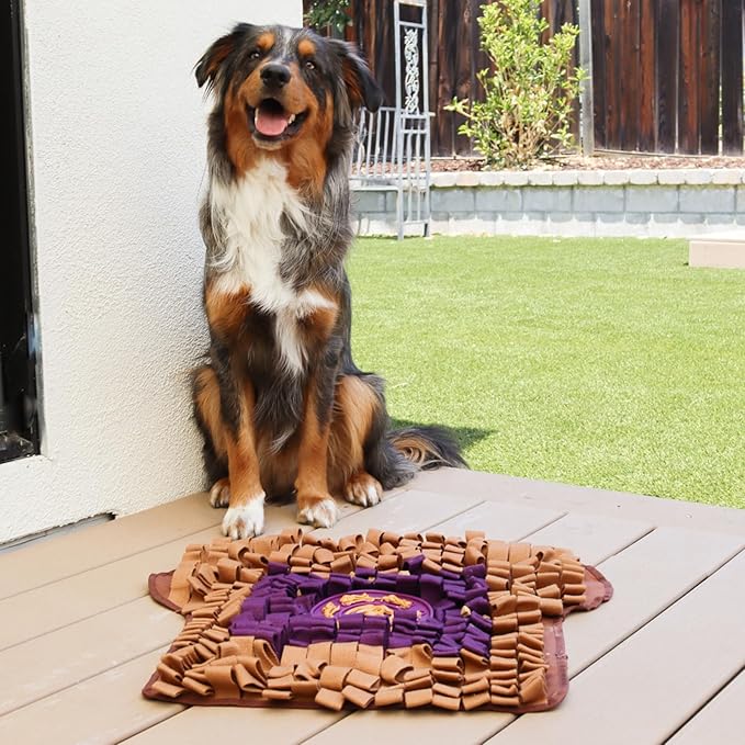 Snuffle Mat for Dogs Toast PB&J, Large Dog Snuffle Mat 21” x 23”, Plush Enrichment Toy Slow Feeder Mental Health to Keep Them Busy, Machine Washable, Snuffle Mat for All Breeds Sizes