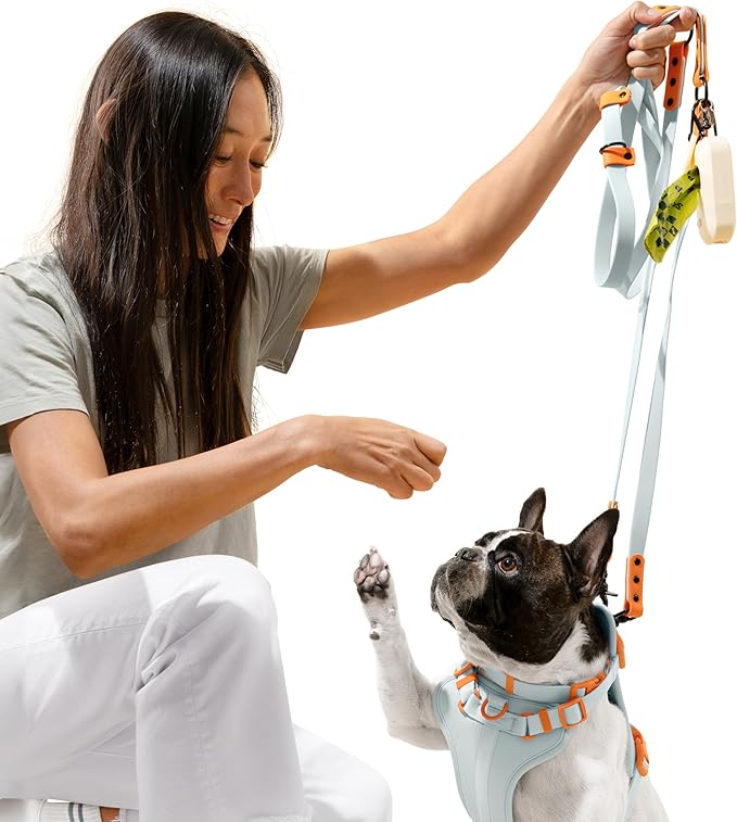 WLK1006D-5SET Luna Large 8FT Adjustable 6-in-1 Waterproof Hands-Free Leash and Collar with LED Flashlight, Bag Dispenser, and Poop Bag Holder, Fishbowl