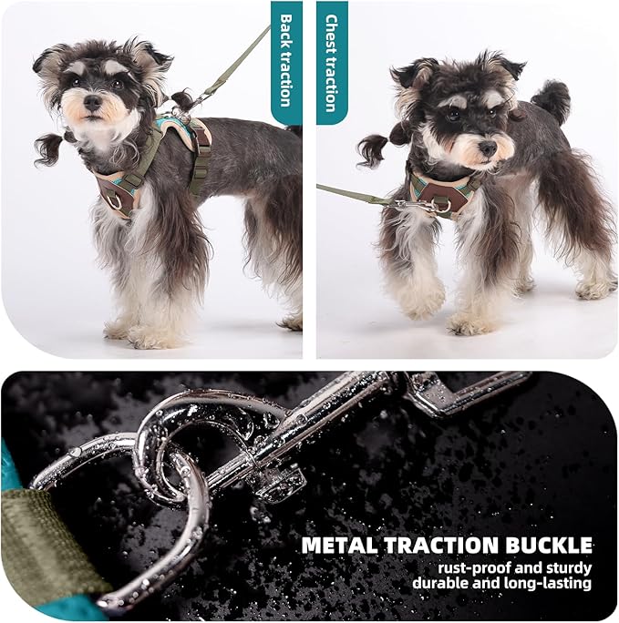 Small Dog Harness and Leash Set, Breathable Mesh Puppy Harness, Adjustable Dog Harness for Small Medium Large Dogs, No-Pull Pet Harness for Daily Walking (Lakeblue, Medium)