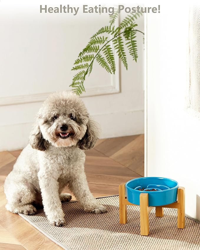 Ceramic Slow Feeder Dog Bowls Elevated, 0.6 Cup Slow Feeder for Small Dogs and Cats, Puzzle Maze Bowl, Prevents Choking, 6in, Blue