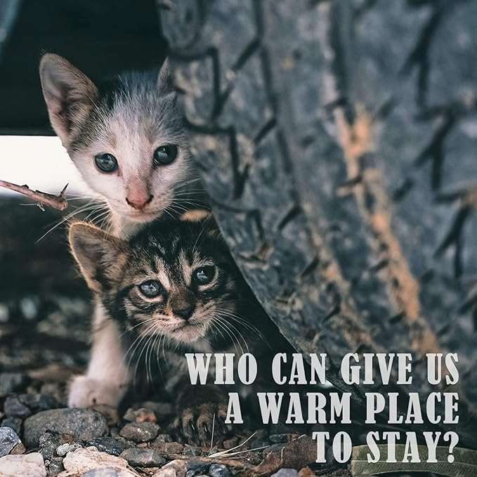 PETNF Outdoor Pet Heating Pad for Cats House Safe Electric Cat Warming Pad Waterproof Heated Cat House for Outside Feral Animal Outdoor Heat Dog Bed Mat 20"X16"