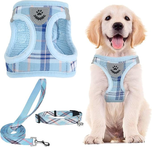 PUPTECK Adjustable Dog Harness Collar and Leash Set Step in No Pull Pet Harness for Small Medium Dogs Puppy and Cats Outdoor Walking Running, Soft Mesh Padded Reflective Vest Harnesses, Blue L