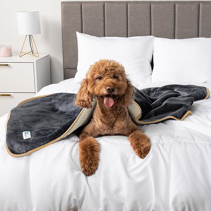 PetAmi Waterproof Dog Blanket for Small Medium Dogs, Pee Proof Pet Blanket for Couch Bed, Reversible, Soft Fleece, Washable, 24x32 Gray/Beige