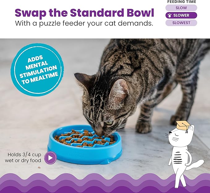 Catstages Kitty Slow Feeder Bowl for Cats & Small Dogs, Puzzle Dish for Fast Eaters, for Wet or Dry Food, Helps Slow Eating & Aid Digestion, Non-Slip, Made Without BPA, 3/4 Cup, 5-Inch, Blue