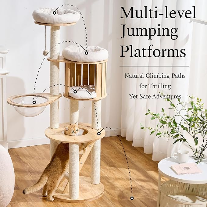 797Audio Solid Wood Cat Tree, 61" Large Modern Tall Cat Tower with Sisal Scratching Posts, Cat Condo, Capsule and Ladder, Aesthetic Multi-Level Cat Climbing Tree for Large Adult Indoor Adult Cats