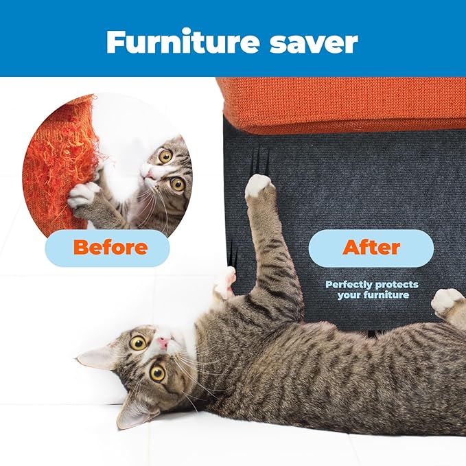 Best Pet Supplies Catify Cat Scratcher, Fun Interactive Scratchers, Posts, Poles, Claw Safe, Furniture Saver Indoor Play Support Natural Cat Behaviors Heavy Duty - Gray (78.7 x 15.8)