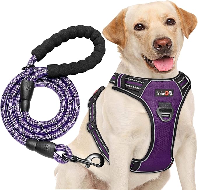 No Pull Dog Harness Adjustable Reflective Oxford Easy Control Medium Large Dog Harness with A Free Heavy Duty 5ft Dog Leash
