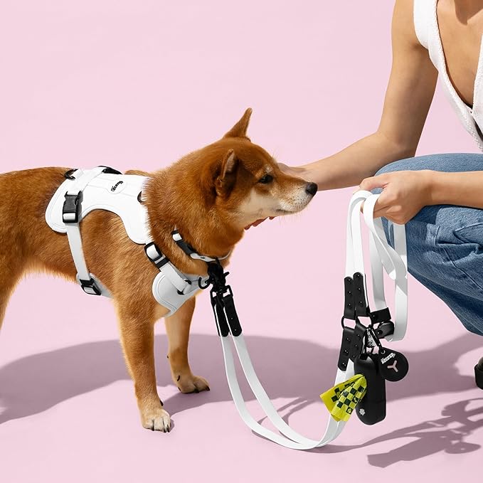 WLK1005F-5SET Luna Medium 8FT Adjustable 6-in-1 Waterproof Hands-Free Leash and Collar with LED Flashlight, Bag Dispenser, and Poop Bag Holder, Seltzer