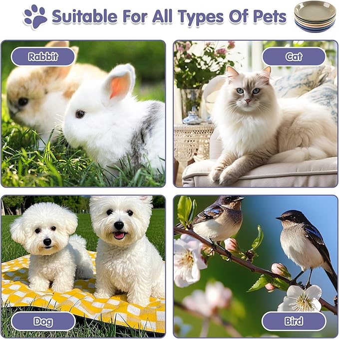 6 Pack Ceramic Cat Bowls, Cat Food Bowl, Anti Whisker Fatigue Cats Bowl Set, 6 Inches Shallow Wide Kitten Plates for Food and Water(Dark Color Set,6-Piece)