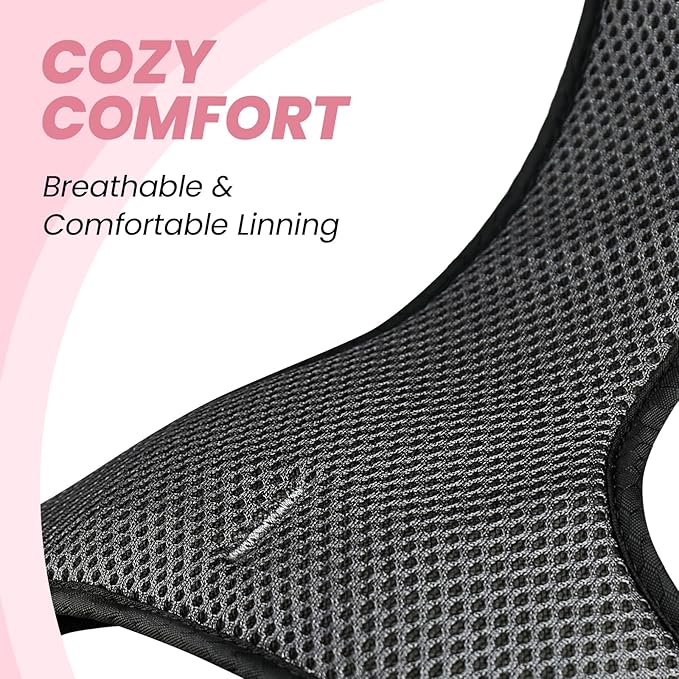 VIVAGLORY Dog Harness Easewalk No Pull Dog Harness with Handle & Front Back Clip for Training Lifting, Easy On Adjustable Padded No Pull for Pet & Puppy, XS, Sakura Pink