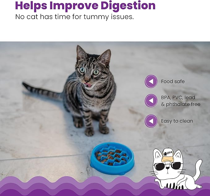 Catstages Kitty Slow Feeder Bowl for Cats & Small Dogs, Puzzle Dish for Fast Eaters, for Wet or Dry Food, Helps Slow Eating & Aid Digestion, Non-Slip, Made Without BPA, 3/4 Cup, 5-Inch, Blue