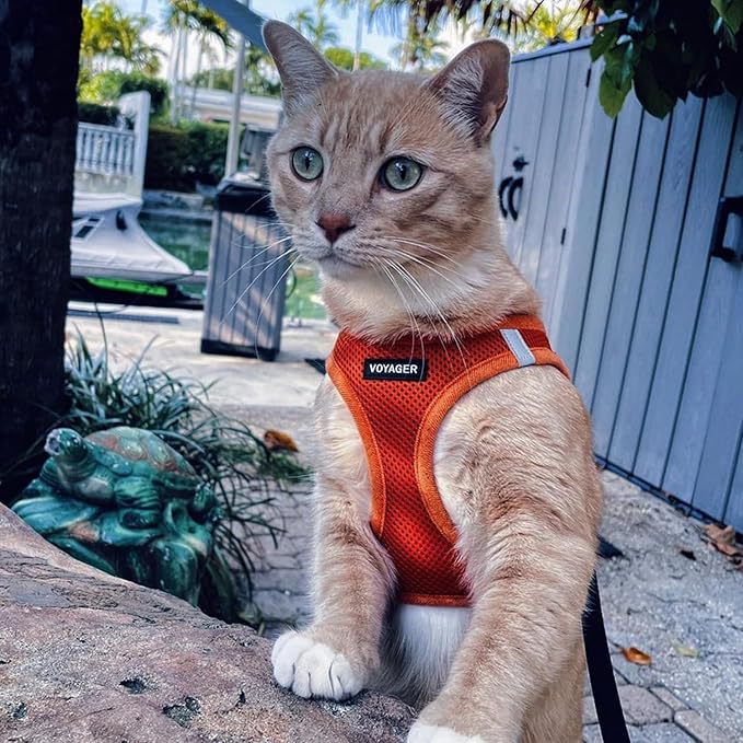 Voyager Step-in Air Cat Harness - All Weather Mesh Step in Vest Harness for Small and Medium Cats by Best Pet Supplies - Harness Leash Set (Orange), XXS