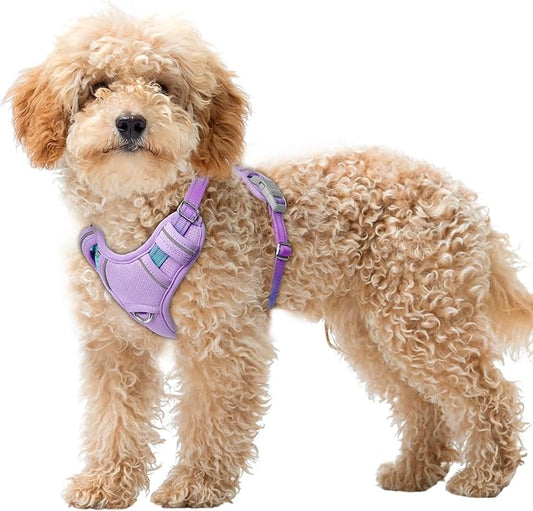 BARKBAY No Pull Dog Harness Large Reflective Dog Harness with Front Clip and Easy Control Handle for Walking Training Running with ID tag Pocket(Lavender Sky,XS)