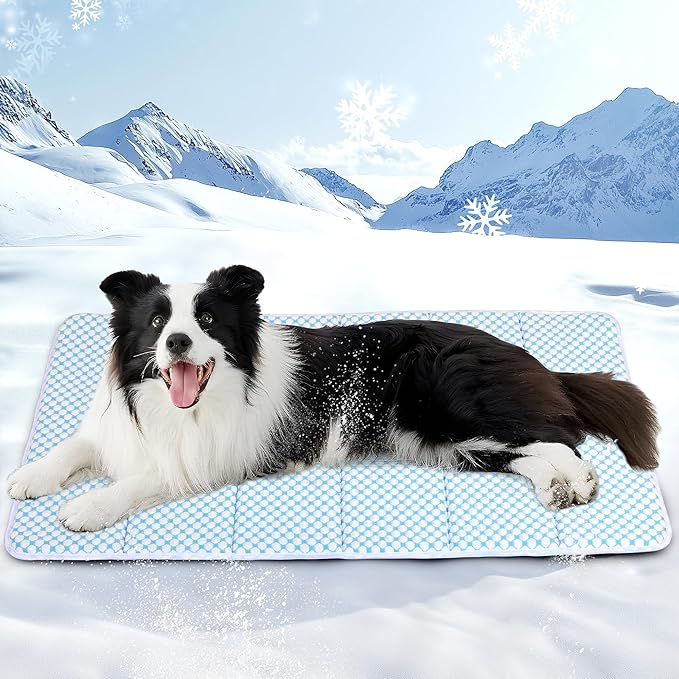 Dog Cooling Mat for Large Dogs - 35x23 Orthopedic Memory Foam Pet Pad for Summer, QMAX>0.5, Washable Premium Comfort Crate Pad for Your Furry Companion, Blue