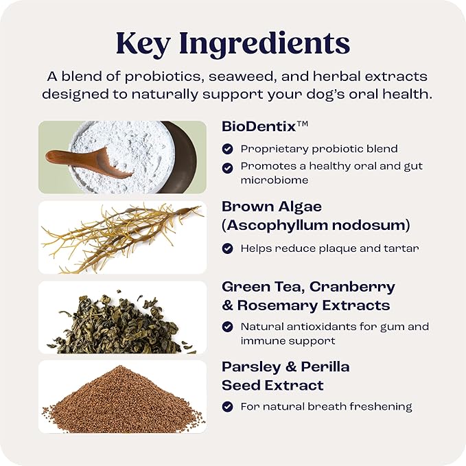 Summit Dental Care for Dogs – All‑Natural No‑Brush Dental Powder for Fresh Breath & Healthy Gums – Easy Add‑to‑Food Supplement – 60 Scoops