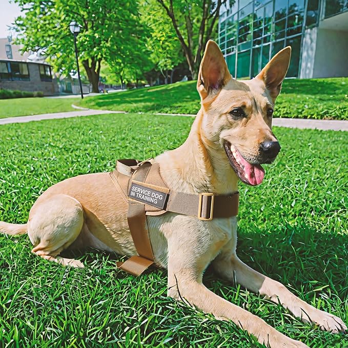 Excellent Elite SPANKERTactical Dog Vest Training Military Patrol Service Dog Harness Adjustable Nylon Dog Harness with Handle(MCP-S)