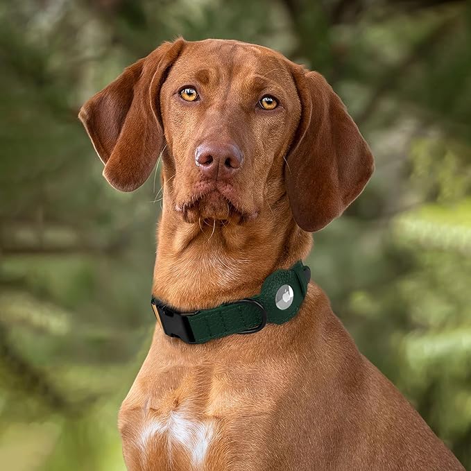 AirTag Dog Collar with Metal Buckle - Printed Nylon Soft Leather Dog Collar with Apple AirTag Holder - Secure Tracking GPS Pet Collars for Girl Boy Small Large Dogs (S, 12"-15" Neck Fit, Striped)