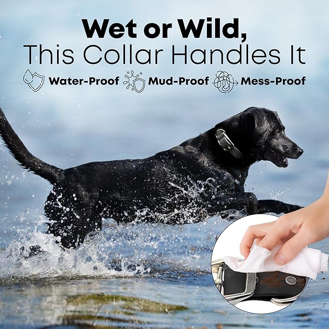 Regal Dog Products Large Black with Custom Engraved Reflective Dog Collar and Leash Set | Waterproof Dog Collar with D Ring | Center Ring & 5'ft Leash | Matching Dog Collar and Leash for Dogs